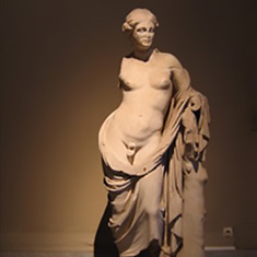 hermaphroditus 2026