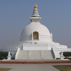 worldpagoda 2026